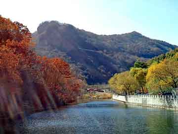 澳门二四六天天彩图库，石家庄黄页